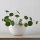 Porcelain Vase Small